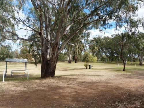 Narrabri Big Sky Caravan Park Exterior photo